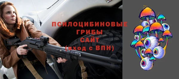 шишки Богородицк