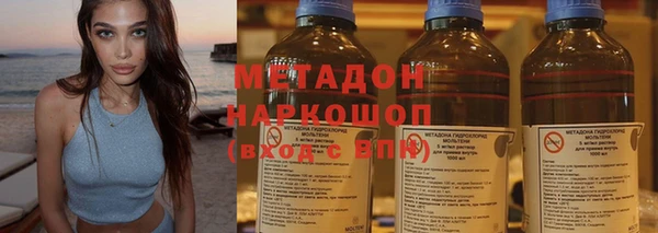 молекула духа Богданович