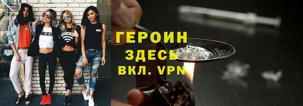 молекула духа Богданович