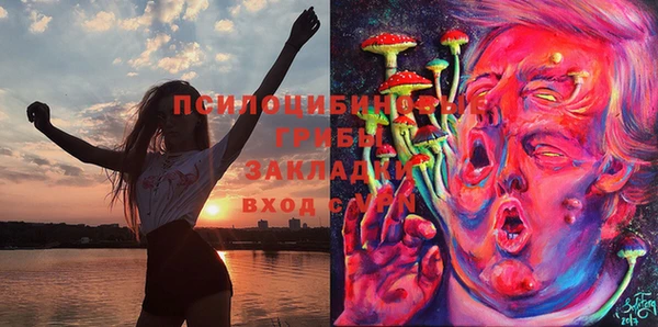 шишки Богородицк