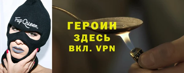 молекула духа Богданович