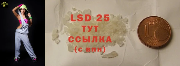 шишки Богородицк