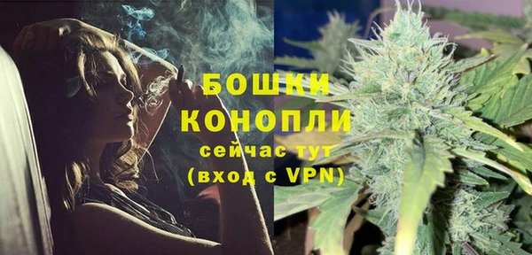 шишки Богородицк