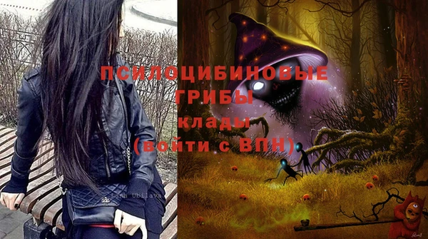 шишки Богородицк