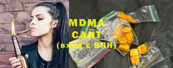 молекула духа Богданович