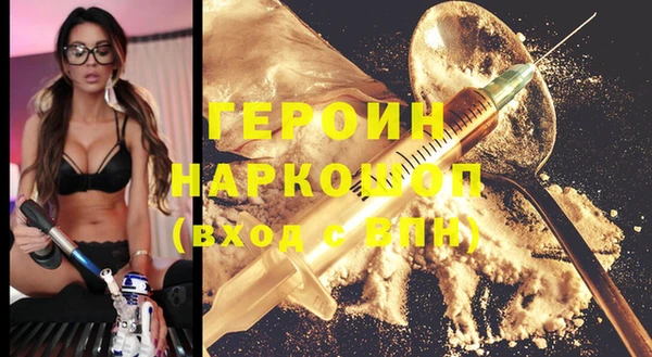 молекула духа Богданович
