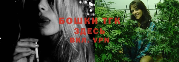 молекула духа Богданович