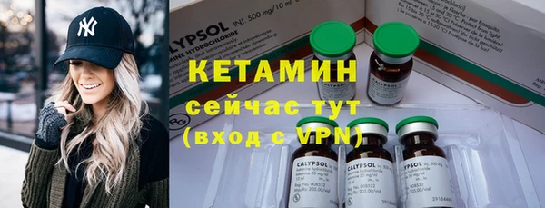 молекула духа Богданович