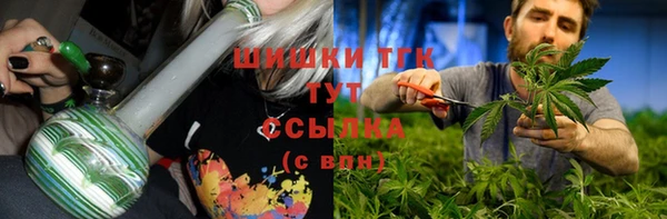МДПВ Инсар