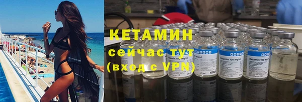 молекула духа Богданович