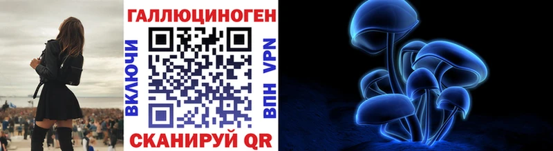 Купить закладки  Пудож  Псилоцибиновые грибы ЛСД 